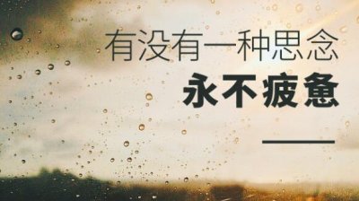 ​我看着你转身离去任凭眼泪在雨中纷飞什么歌（我看着你转身离去任凭眼泪在雨中