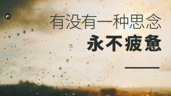 我看着你转身离去任凭眼泪在雨中纷飞什么歌