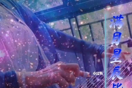 满目星辰皆是你歌词含义