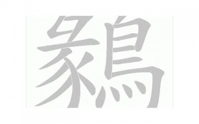 ​情定大饭店内容简介