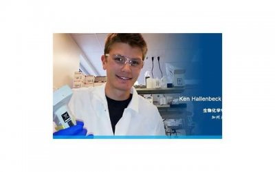 ​心理学中的自我同一性