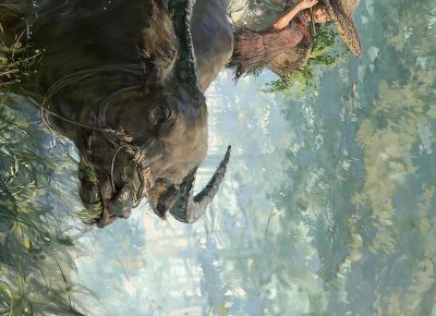 ​微博昵称(微博官网首页)