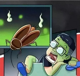 ​蟑螂的克星竟藏在日常生活中？一招教你轻松摆脱烦恼！