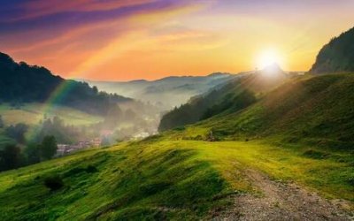 ​营销总监的岗位职责和任职要求，营销总监的工作内容