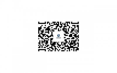 ​影响人格类型的最常见因素