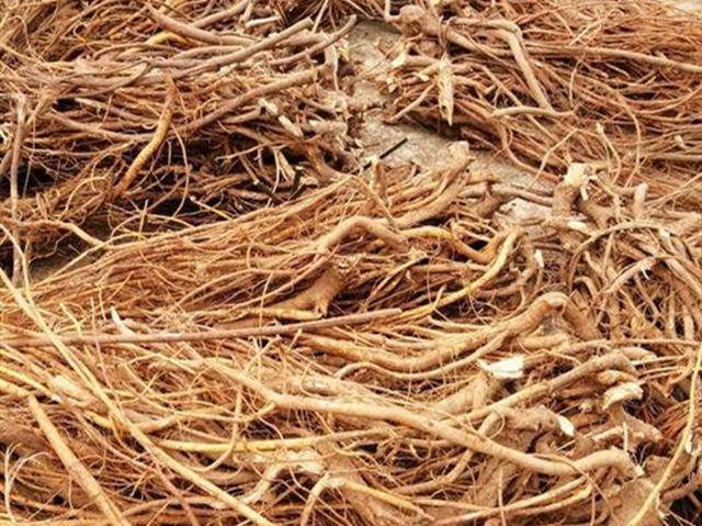 五指毛桃煲鸡正确做法（香气扑鼻的五指毛桃炖鸡）(2)