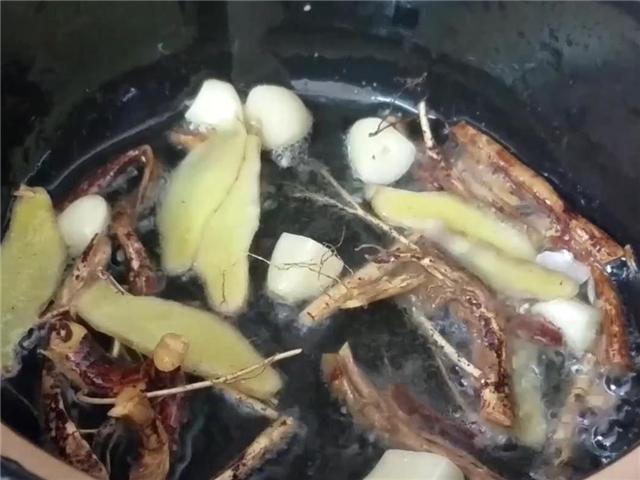 五指毛桃煲鸡正确做法（香气扑鼻的五指毛桃炖鸡）(6)