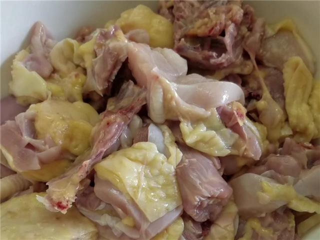 五指毛桃煲鸡正确做法（香气扑鼻的五指毛桃炖鸡）(4)