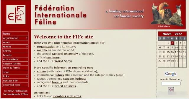 字母z有何意义（欧美无厘头制裁背后的霸权逻辑）(3)