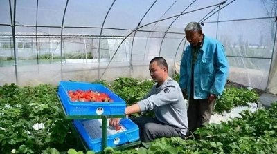 ​农村未来10大暴利行业