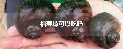 ​福寿螺可以吃吗（福寿螺能不能食用）