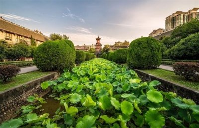 ​2019年最新亚洲大学排行榜出炉，四川2所高校上榜！