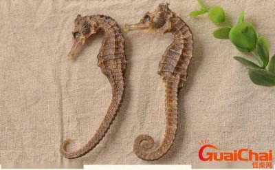 ​最贵的50大药材哪些药材比黄金还贵最贵的50大药材图片