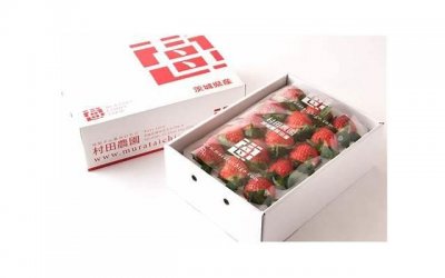 ​最让人害羞的吉尼斯纪录