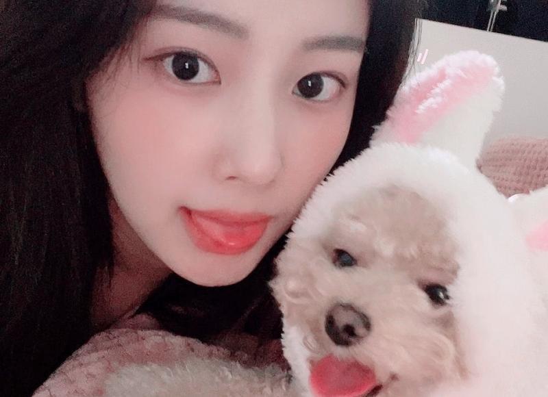 国内新开一列豪华旅游火车