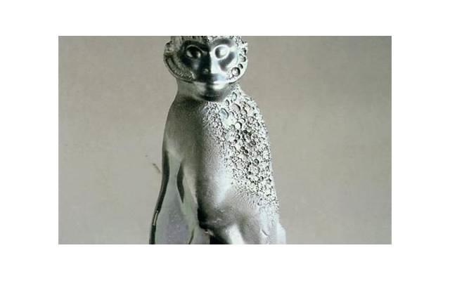 欧洲阳具有多长 欧洲男性正常房事时间多久