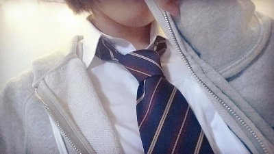 ​四种人格 孔雀 猫头鹰 老虎