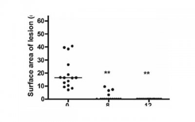 ​张予曦粉丝，张予曦机场收到粉丝送的10斤陈醋