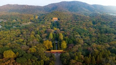 ​邂逅南京钟山丨文化与自然的浪漫之旅
