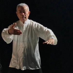 ​走进“一代宗师”吴彬的武术世界