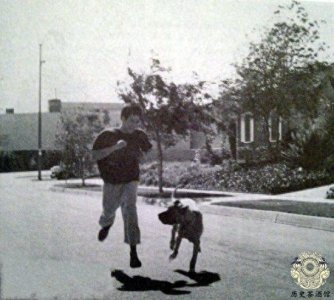 ​一组李小龙的珍贵训练照：背部肌肉夸张，图九或许是其猝死的原因