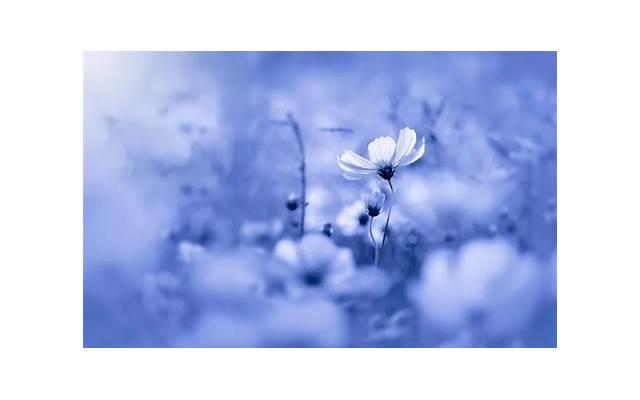 送女孩什么生日礼物,盘点几款无法抗拒的 送女孩什么生日礼物,盘点几款无法抗拒的