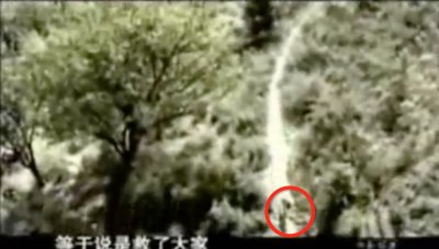 ​富有争议的狗狗事件--《犬王》拍摄炸死军犬