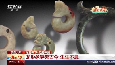 ​龙的雏形长啥样？一文带你领略龙形象的古今变化