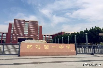 ​详细说明天津武清区所有高中学校情况