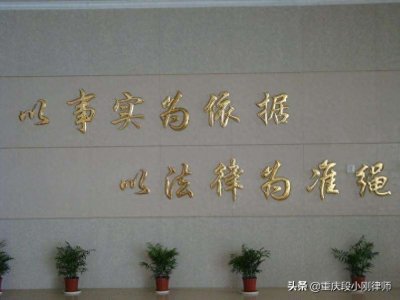 ​“以事实为依据，法律为准绳”，这里的“事实”你真的理解吗？