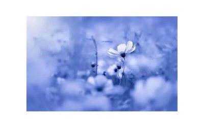 女生自己GC最快的方法有什么 分享4种方法让女生快速高潮