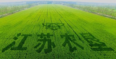 ​农垦人的竞争观 | 江苏农垦：“敢”字当头 奋勇打造现代农业新样板