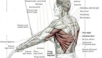 ​直臂下压细节指导，精准打击背阔肌
