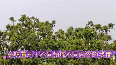 ​读书破万卷，下笔如有神——杜甫