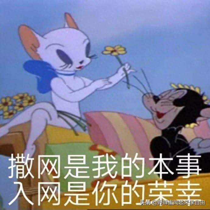 渣女表情包集合