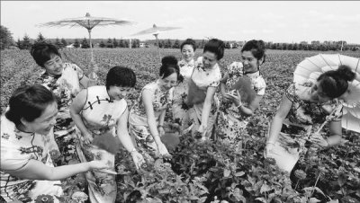 ​宝泉岭“花为媒”吸引四方客