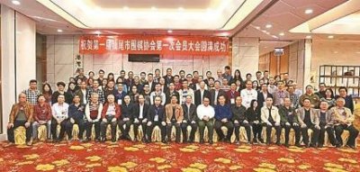 ​汕尾市围棋协会成立