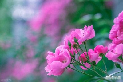 ​这些行为是小人的专属，不幸遇到了，可以这样应对