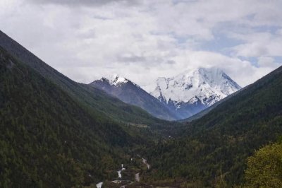 ​为什么人们都在向往旷野？
