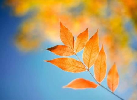 30fad02da197efe9ca4137b85193abe7.jpg 2563279420.jpg