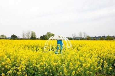 ​重庆潼南菜花节2月28日相约“潼”去