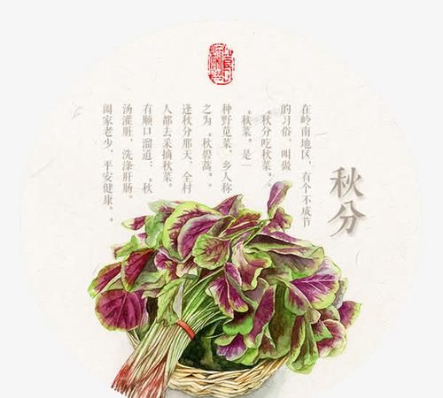 秋分节气吃什么传统食物：