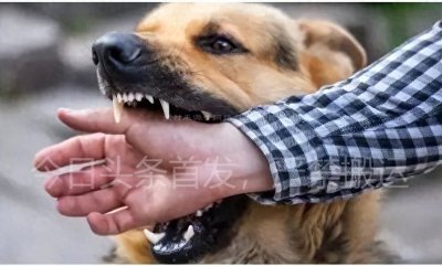 ​鳄鱼天敌被发现，全球不到一百只，专家看完直言：神话没准是真的