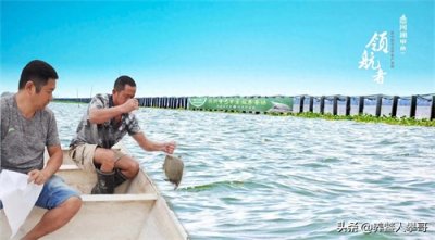 ​生态甲鱼多少钱一斤，2024生态甲鱼最新批发价格【含价格表】