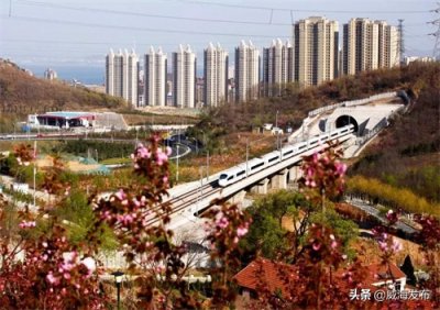 ​增开高铁！威海站车次将有大变动