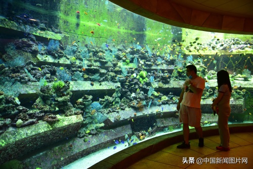 海南三亚：亚特兰蒂斯水族馆 吸引游客