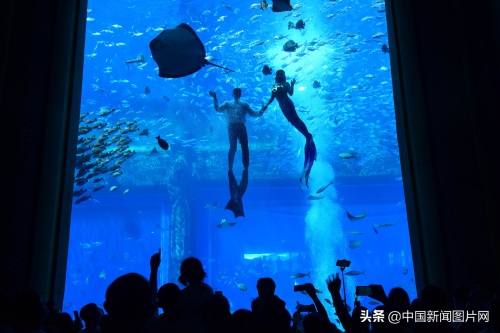 海南三亚：亚特兰蒂斯水族馆 吸引游客