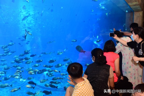 海南三亚：亚特兰蒂斯水族馆 吸引游客