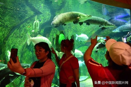 海南三亚：亚特兰蒂斯水族馆 吸引游客