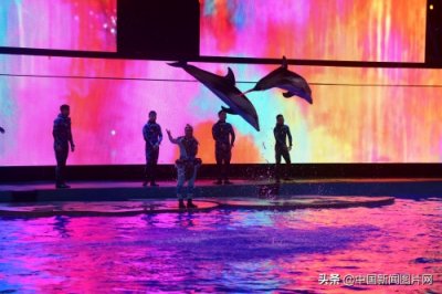 ​海南三亚：亚特兰蒂斯水族馆 吸引游客